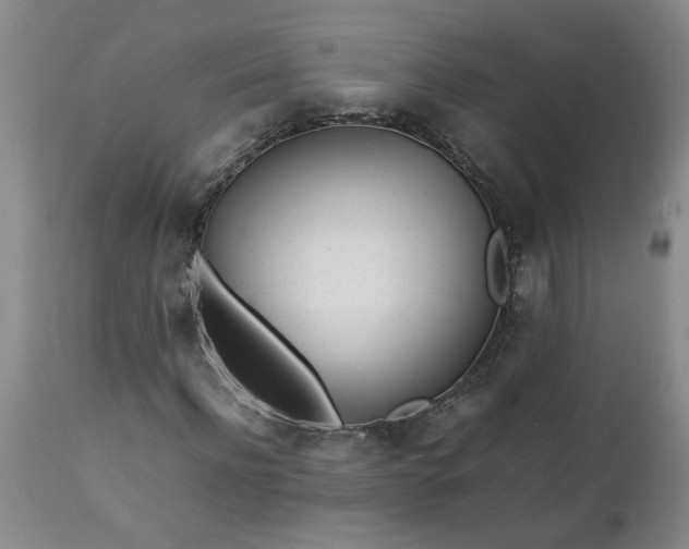 X0000113210916200909241420