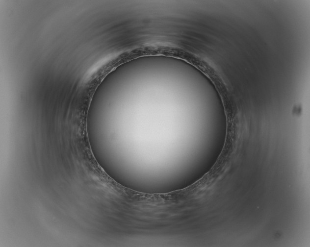 X0000113210919200909241420