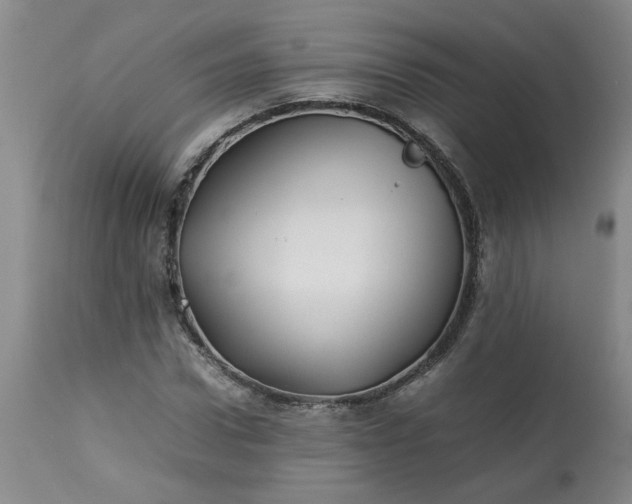 X0000113210922200909241420