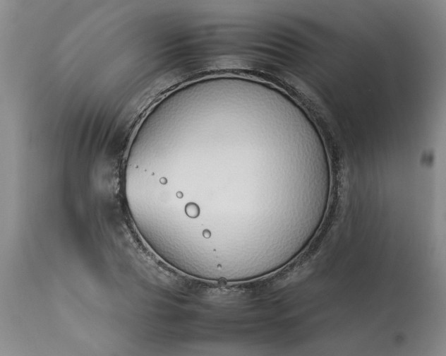 X0000113210929200909241420