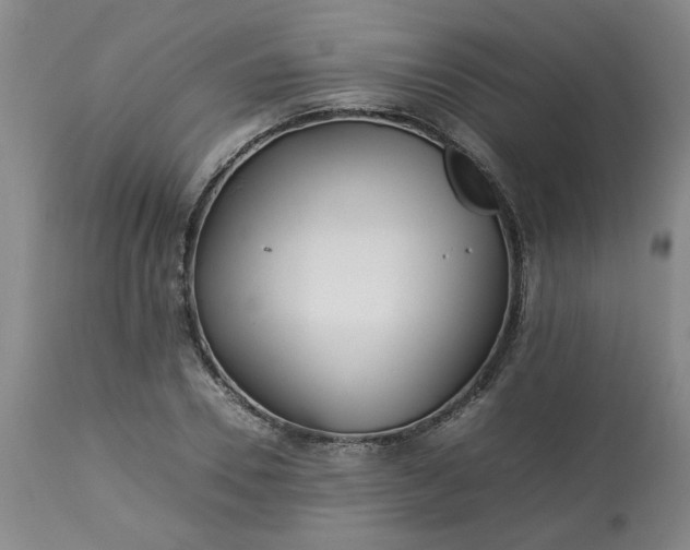 X0000113210930200909241420