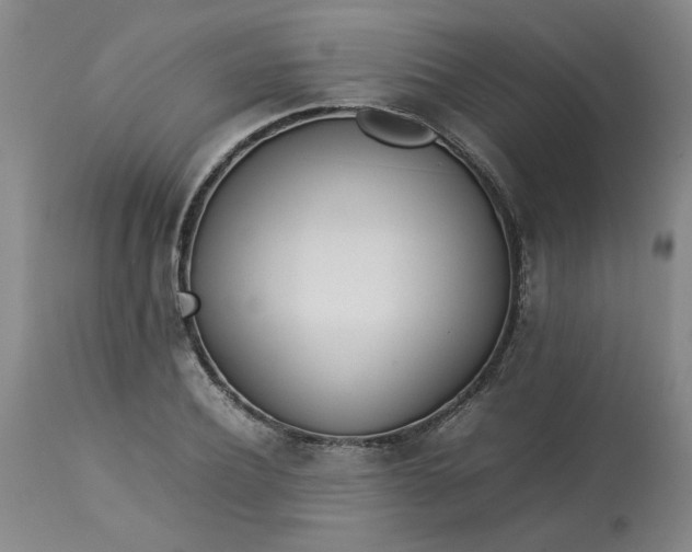 X0000113210932200909241420