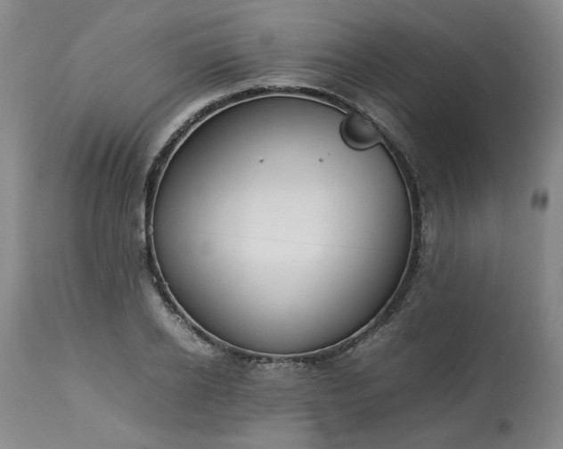 X0000113210934200909241420