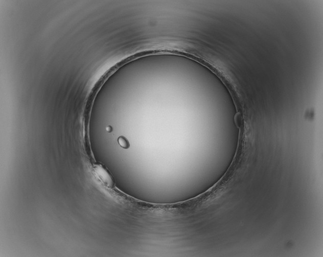 X0000113210936200909241420