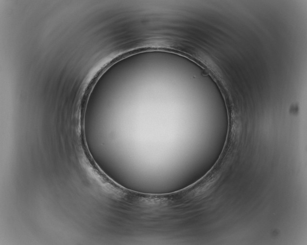 X0000113210939200909241420