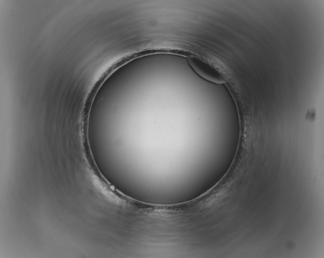 X0000113210942200909241420