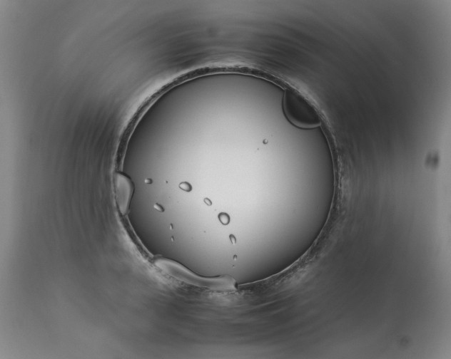 X0000113210943200909241420