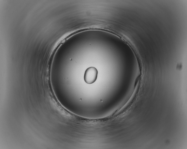 X0000113210948200909241420