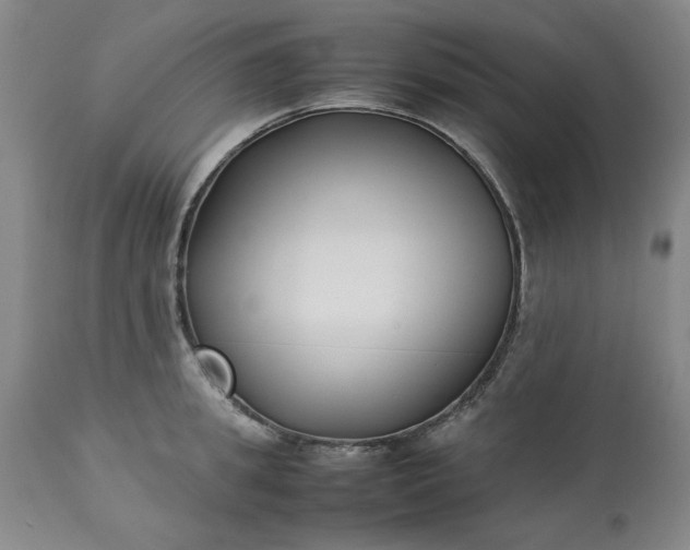 X0000113210949200909241420