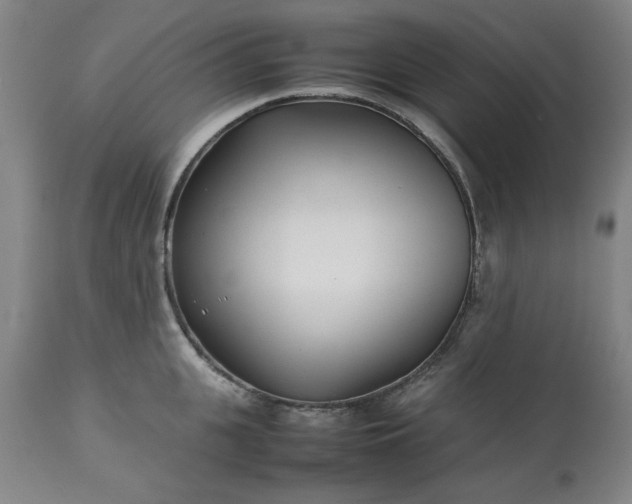 X0000113210951200909241420