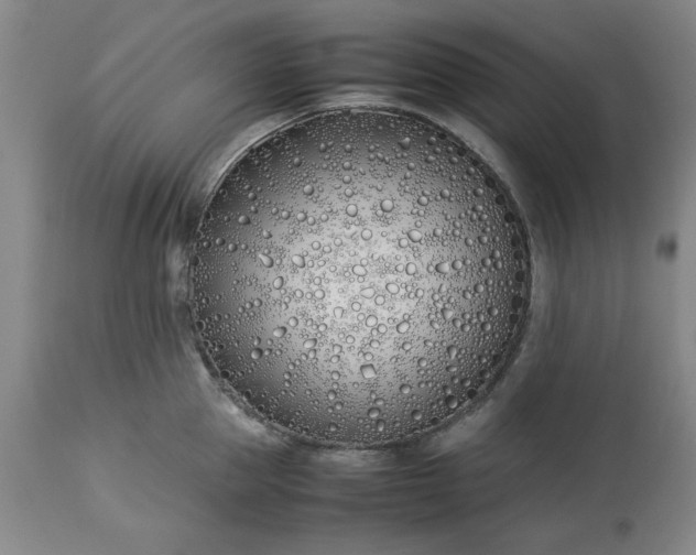 X0000113210953200909241420