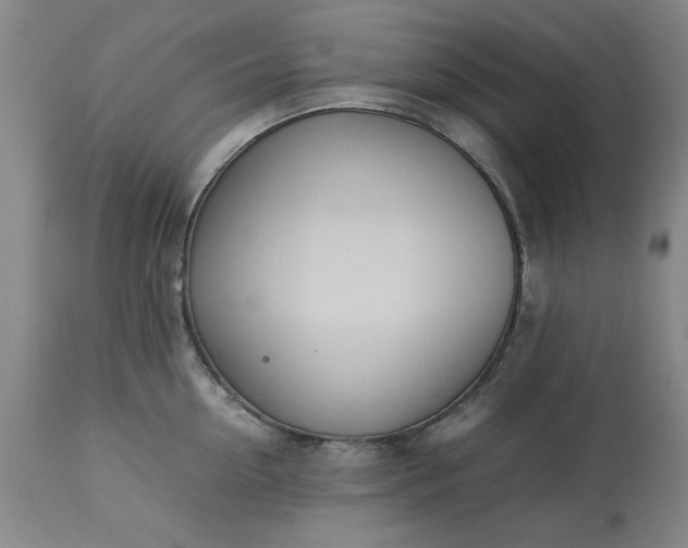 X0000113210954200909241420