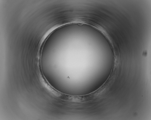 X0000113210955200909241420