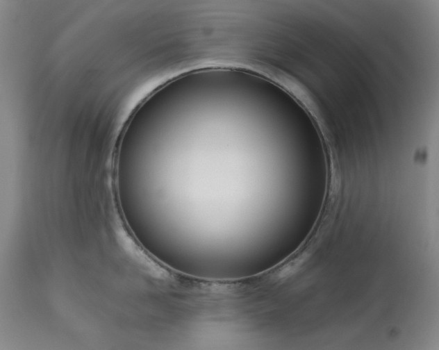 X0000113210958200909241420