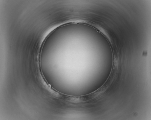 X0000113210959200909241420