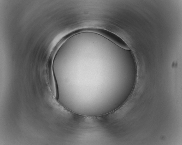 X0000113210960200909241420