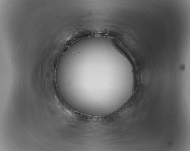 X0000113210961200909241420