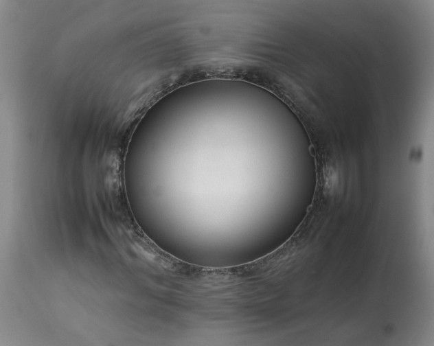 X0000113210964200909241420