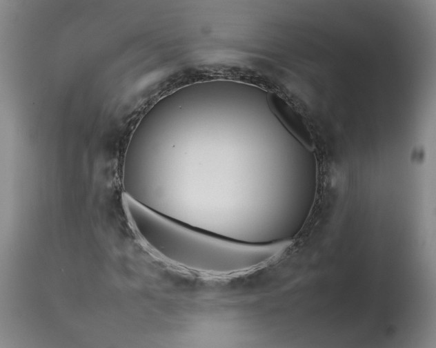 X0000113210965200909241420