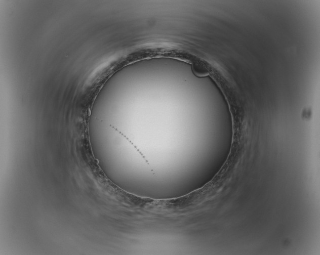 X0000113210967200909241420