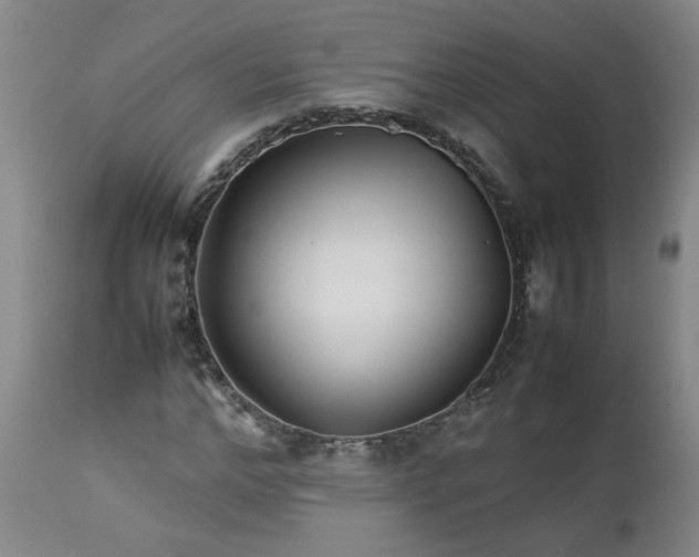 X0000113210968200909241420