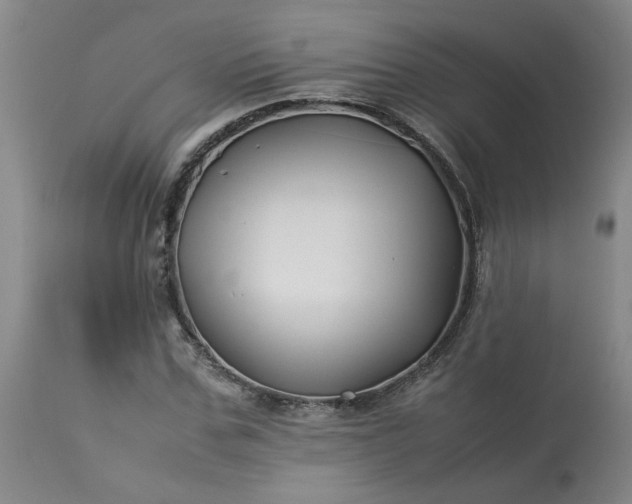 X0000113210971200909241420