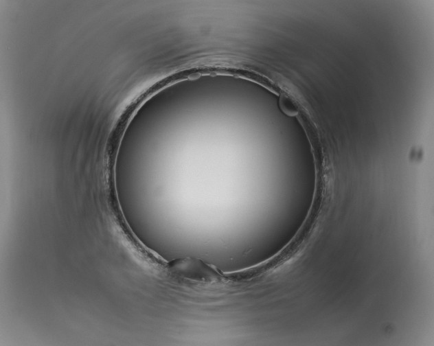 X0000113210981200909241419