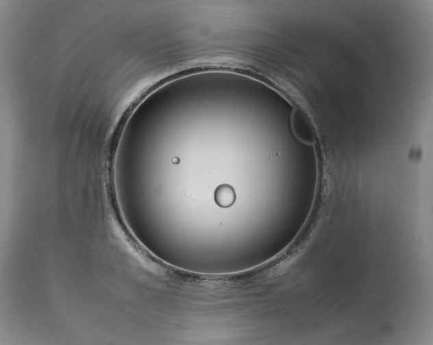 X0000113210989200909241419