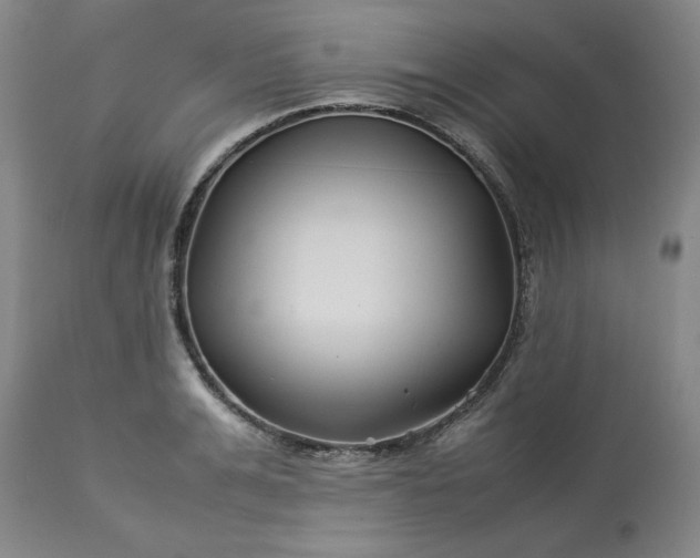 X0000113210991200909241419