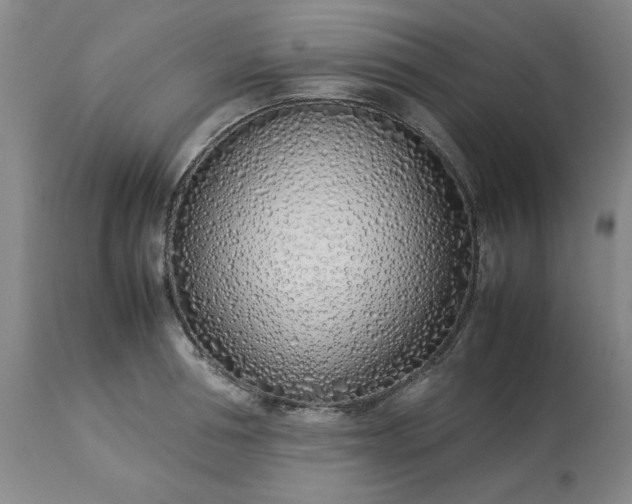 X0000113210994200909241419