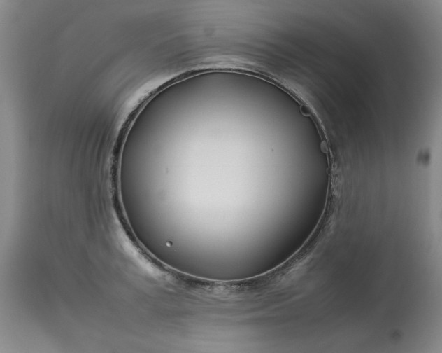 X0000113210995200909241419