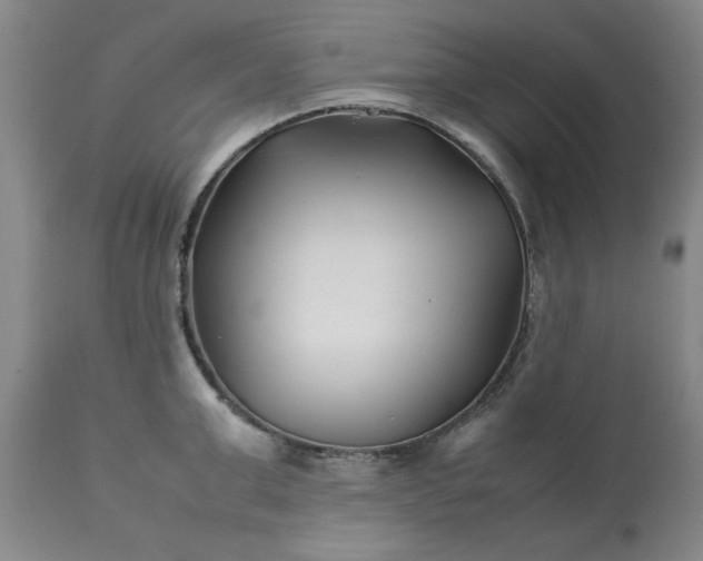 X0000113210999200909241419