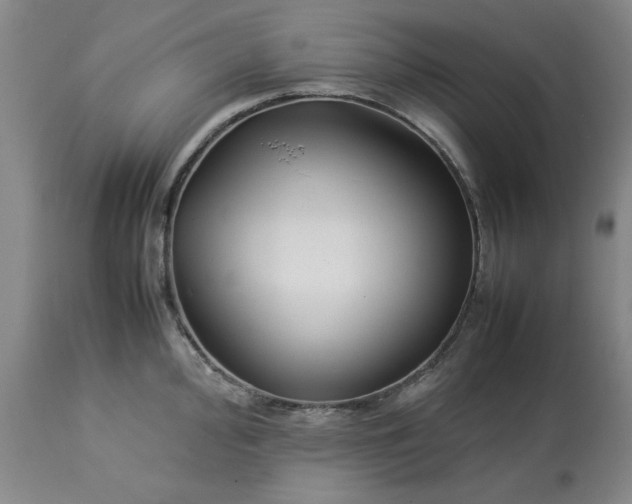 X0000113211000200909241419