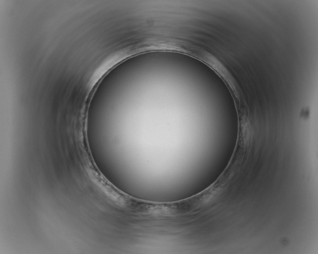 X0000113211002200909241419