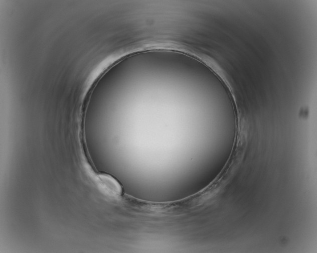 X0000113211005200909241419