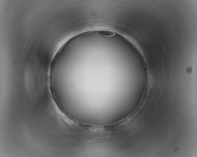 X0000113211006200909241419