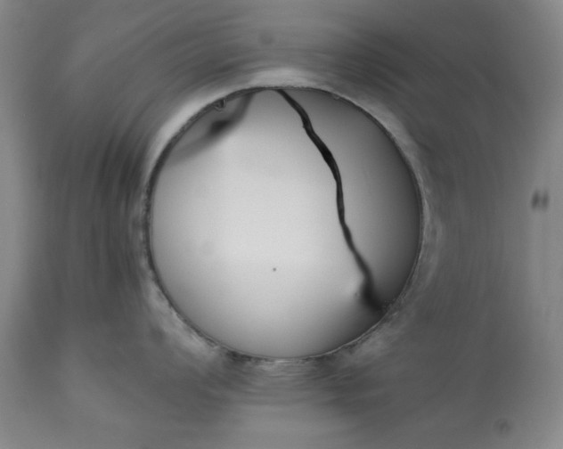 X0000113211008200909241419