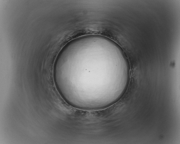 X0000113211009200909241418