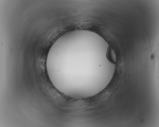 X0000113211010200909241418