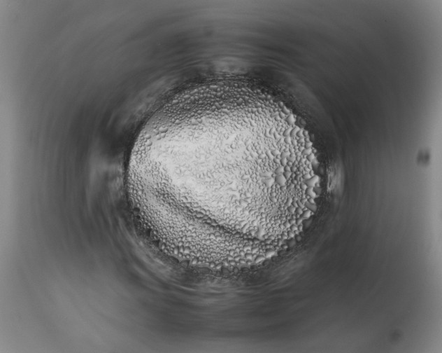 X0000113211011200909241418