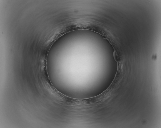 X0000113211012200909241418