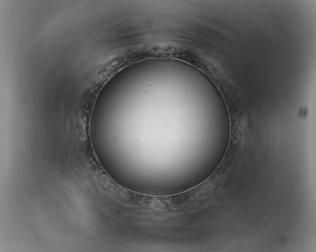 X0000113211013200909241418