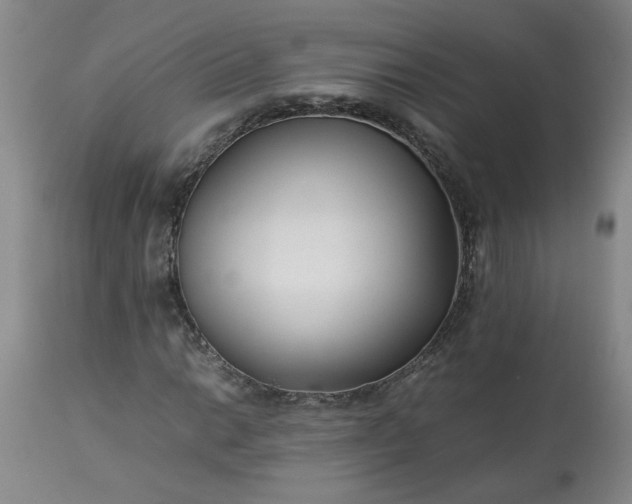 X0000113211014200909241418