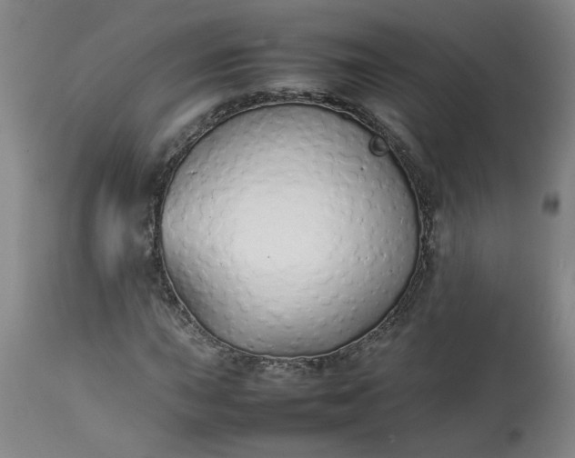 X0000113211015200909241418