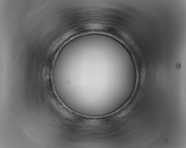 X0000113211017200909241418