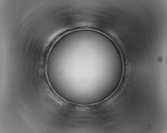 X0000113211019200909241418