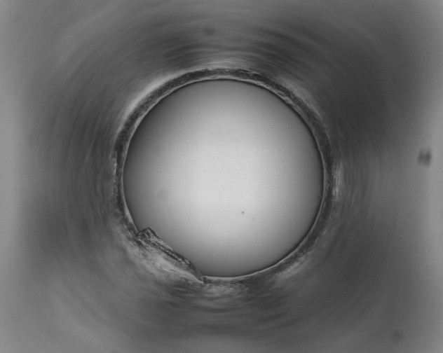 X0000113211021200909241418