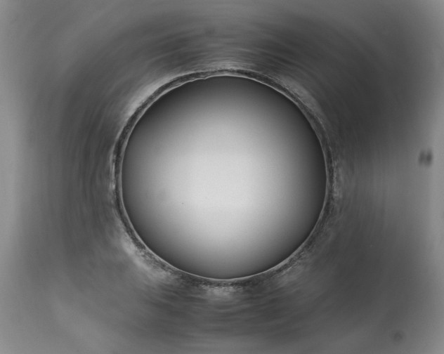 X0000113211031200909241419