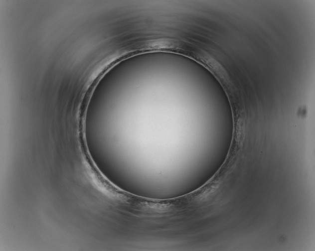 X0000113211039200909241419