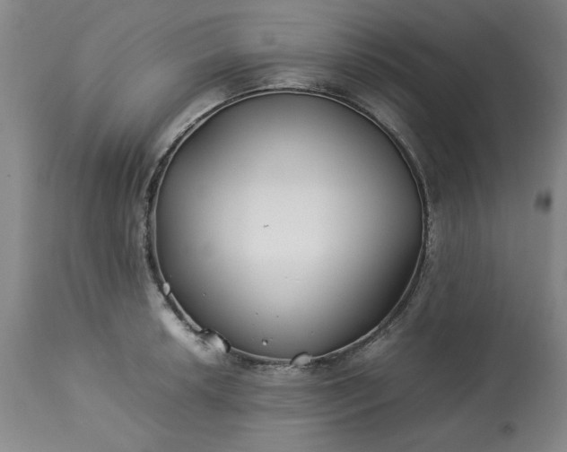 X0000113211042200909241419